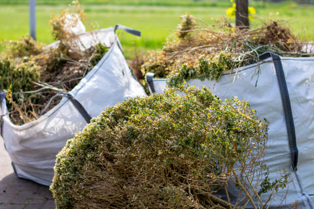 Trusted Fairview, CA Junk Removal Services Experts